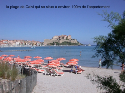 appartement locations de vacances CALVI